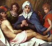Andrea del Sarto Pieta Germany oil painting artist